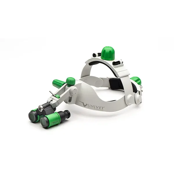 Headgear - Grey Green - Prismatic
